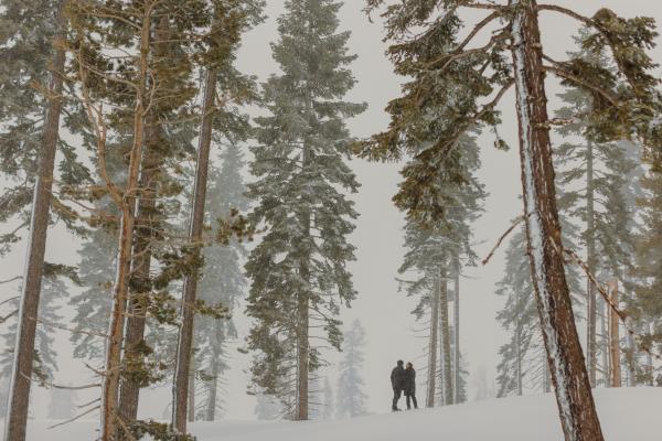 couple standing in the distance in a snowy forest